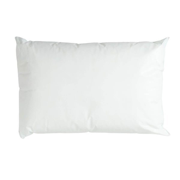 Dri-Shield Wipe Clean Polypropylene Pillow PW027