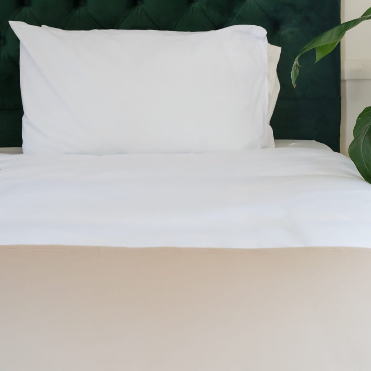 Polar Fleece Blanket - Image 2