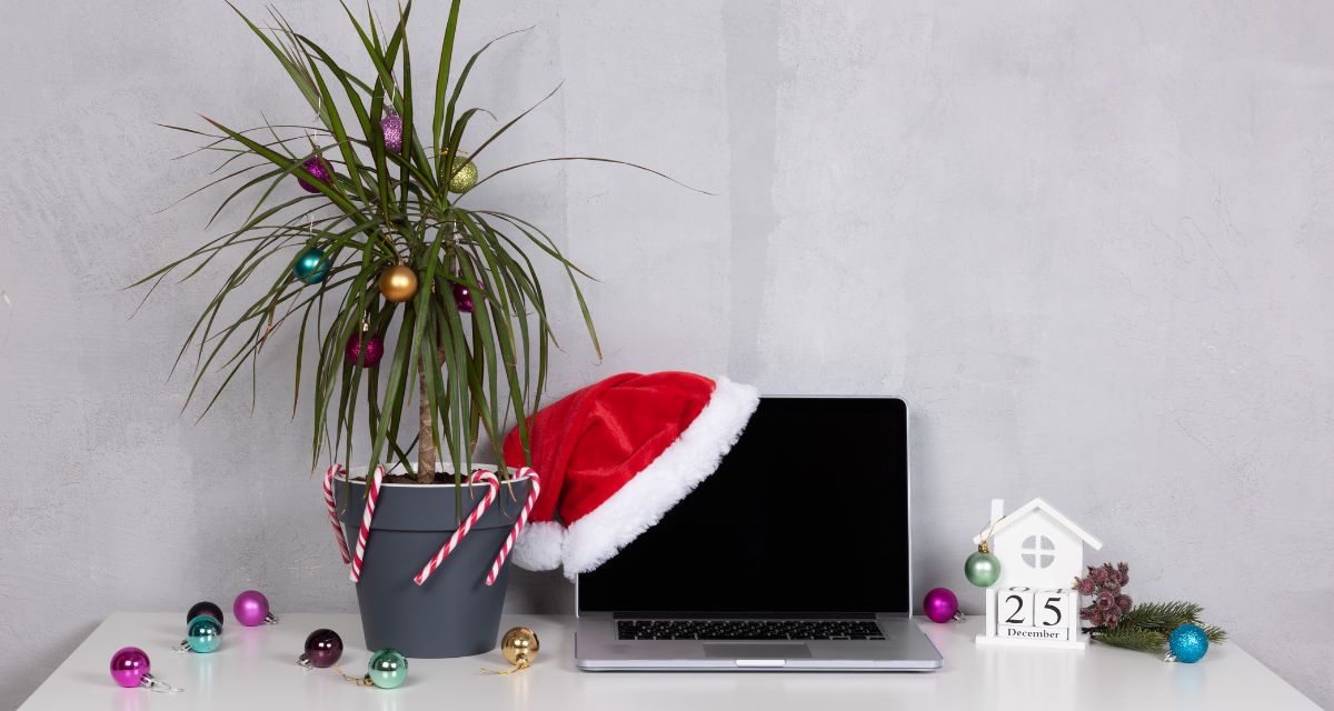 Christmas opening hours